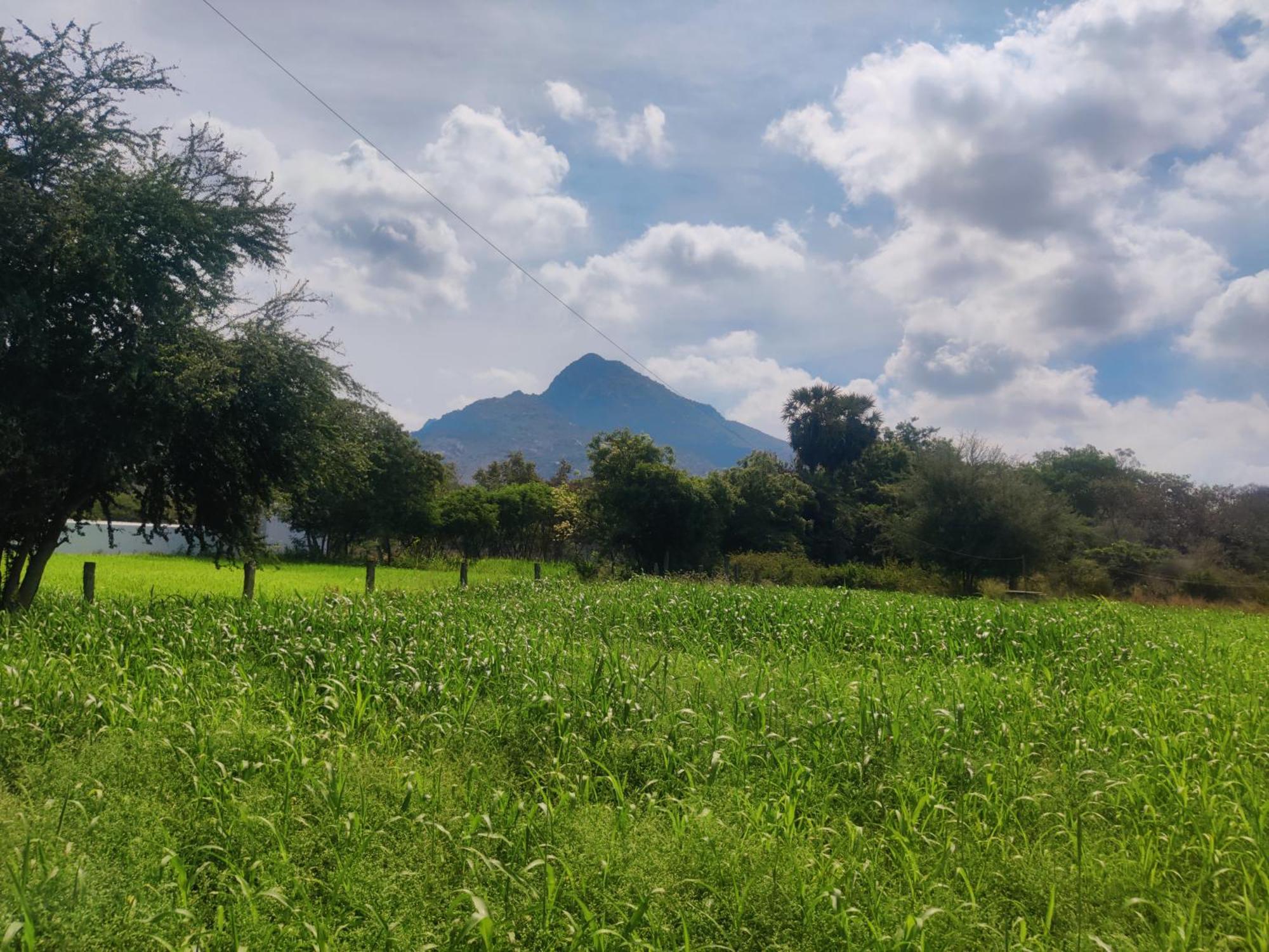 Arunachala Houses Tiruvannamalai Exterior photo